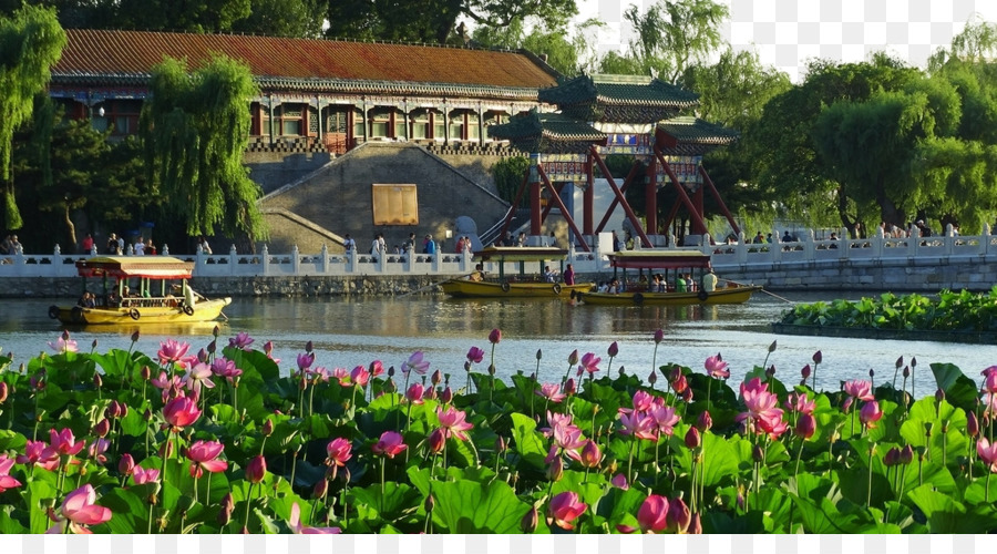 Beihai Park，Zhongshan Park PNG