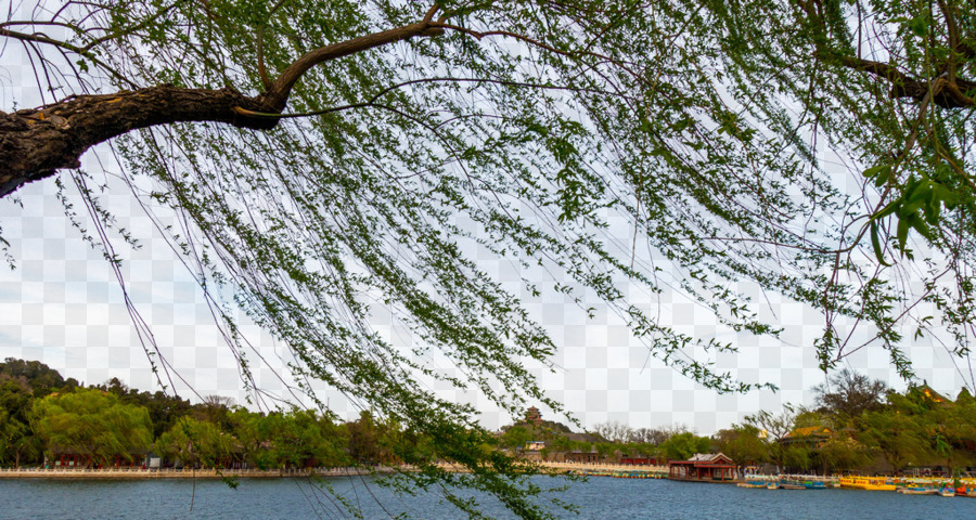 Beihai Park，حديقة يلوستون الوطنية PNG