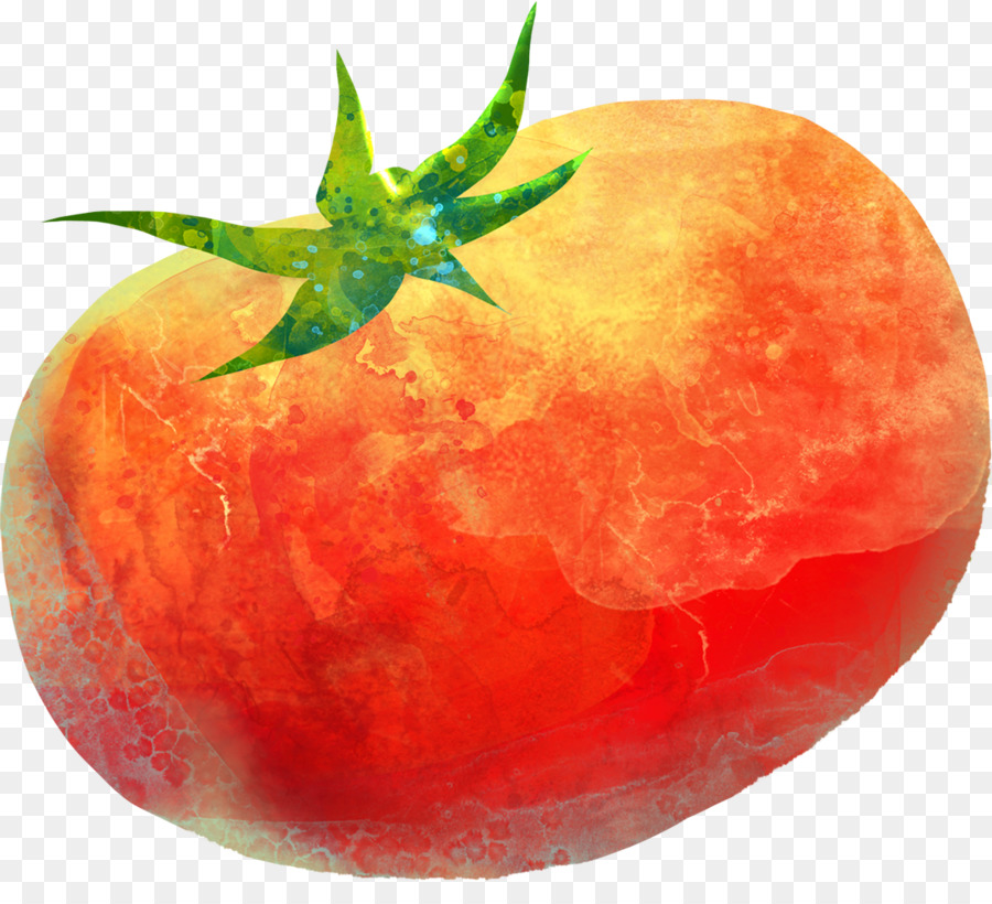 الطماطم，اللوحة PNG