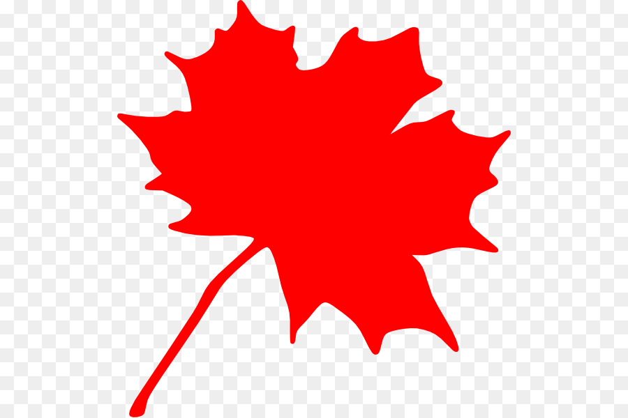 كندا，القيقب الأحمر PNG