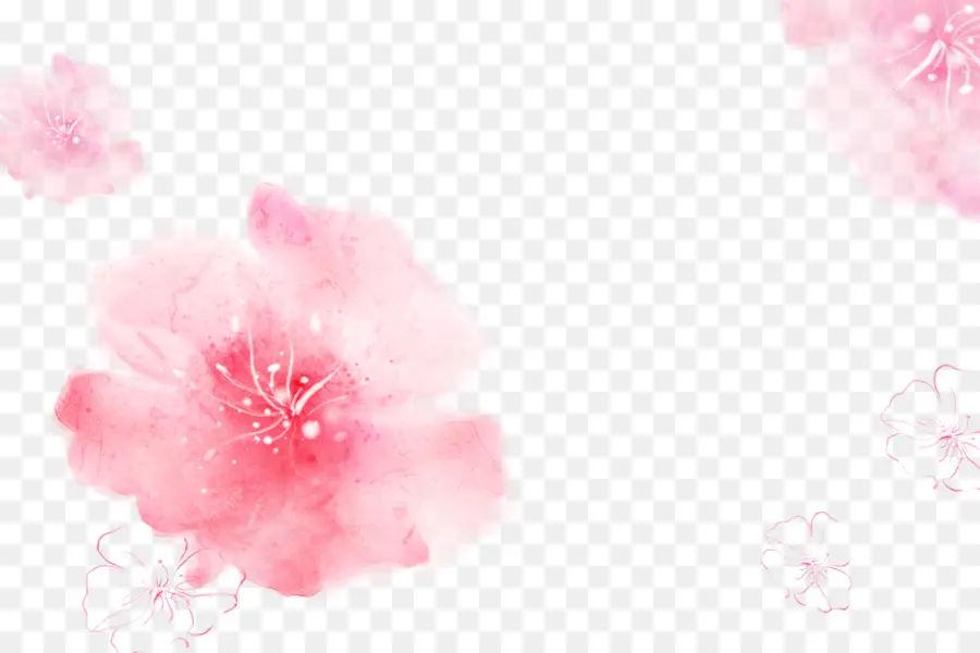 الوردي，زهر الكرز PNG
