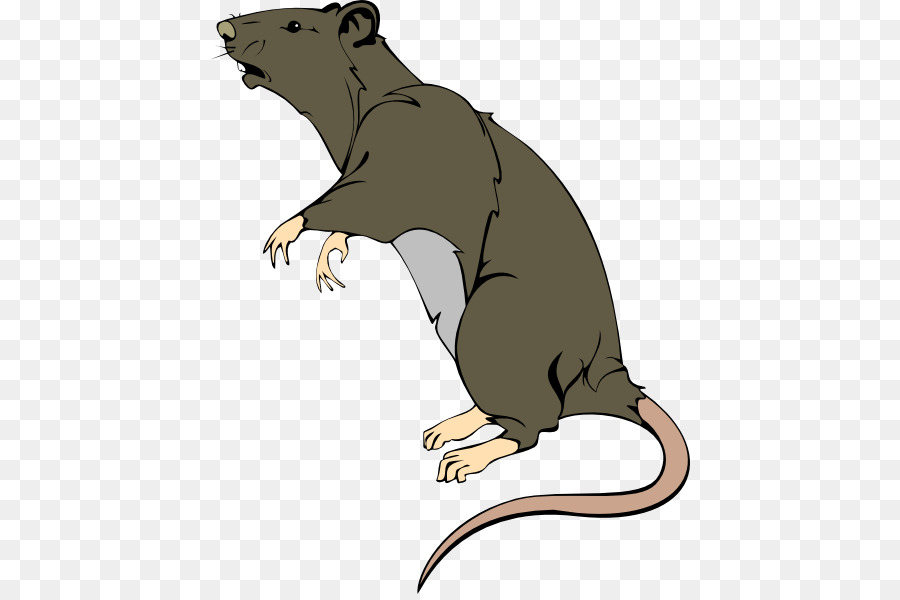 الفأر البني，الماوس PNG
