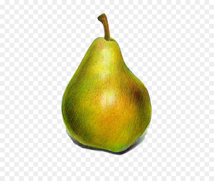 Pyrus Xd7 Bretschneideri，الأوروبي الكمثرى PNG