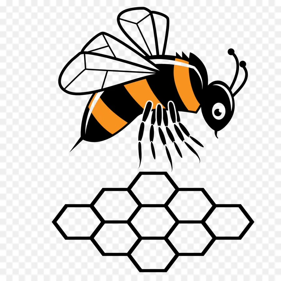 عسل النحل，فراشة PNG