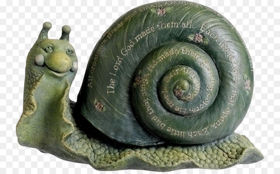 الحلزون，Orthogastropoda PNG