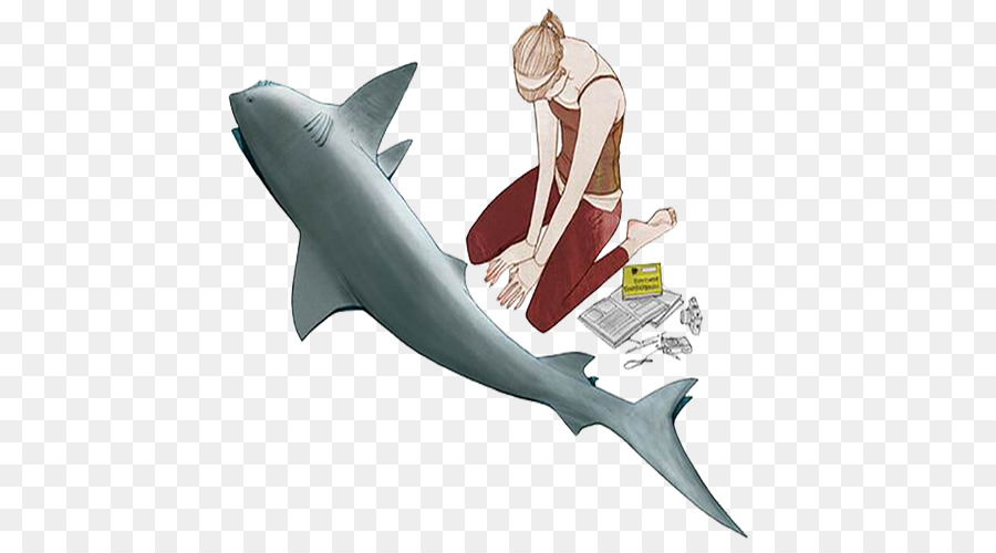 القرش，قداس القرش PNG