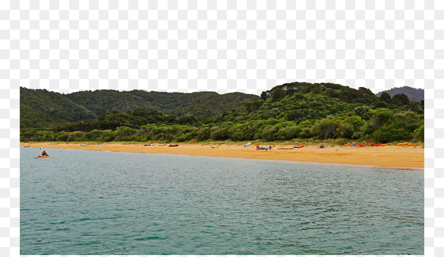 Abel Tasman National Park，الشاطئ PNG