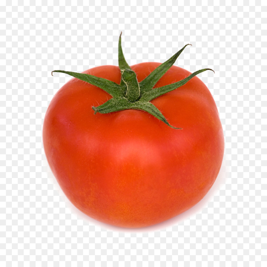 البرقوق الطماطم，بوش الطماطم PNG
