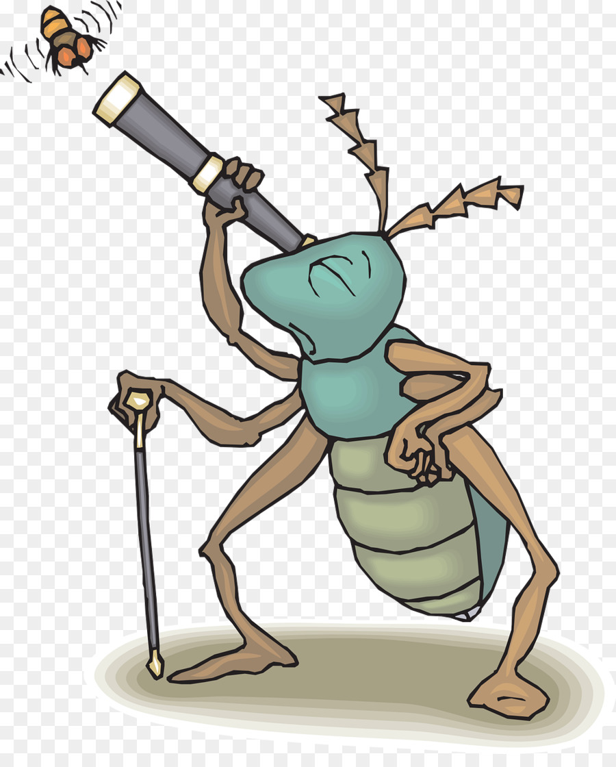 الحشرات，Bugwatching PNG