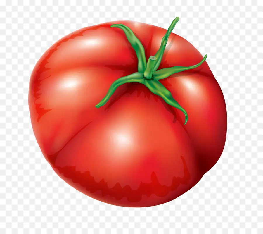 البرقوق الطماطم，طماطم PNG