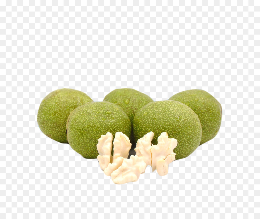 جوز，Juglans PNG