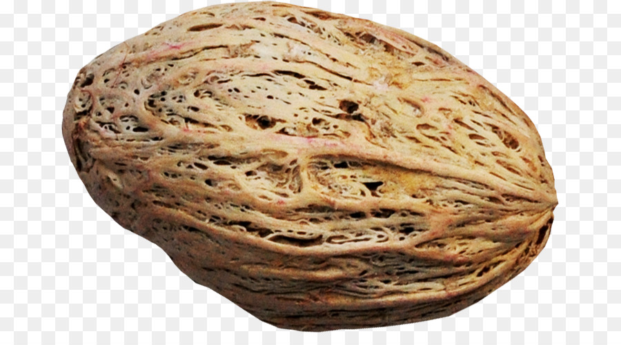 خبز الجاودار，الجوز PNG