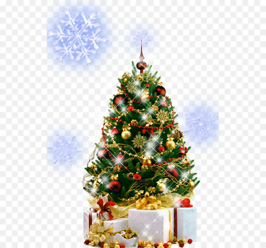 شجرة عيد الميلاد，شجرة السنة الجديدة PNG