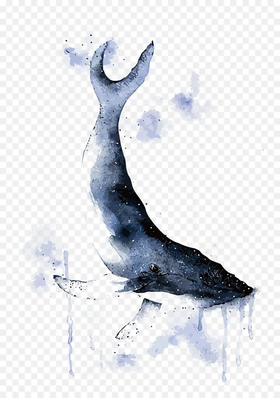 الحوت，الرسم بالألوان المائية PNG