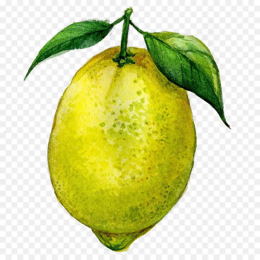 عصير，الليمون PNG