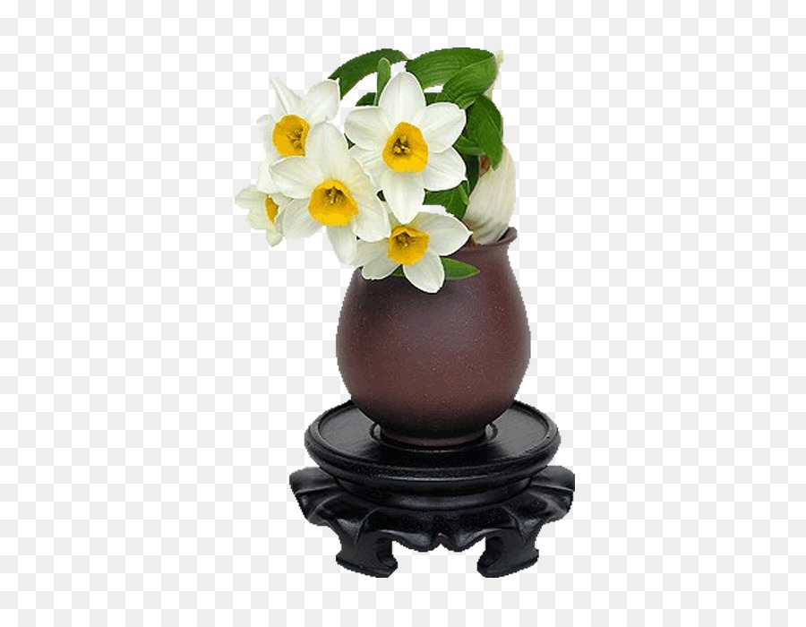 تشانغتشو，Narcissus Tazetta PNG