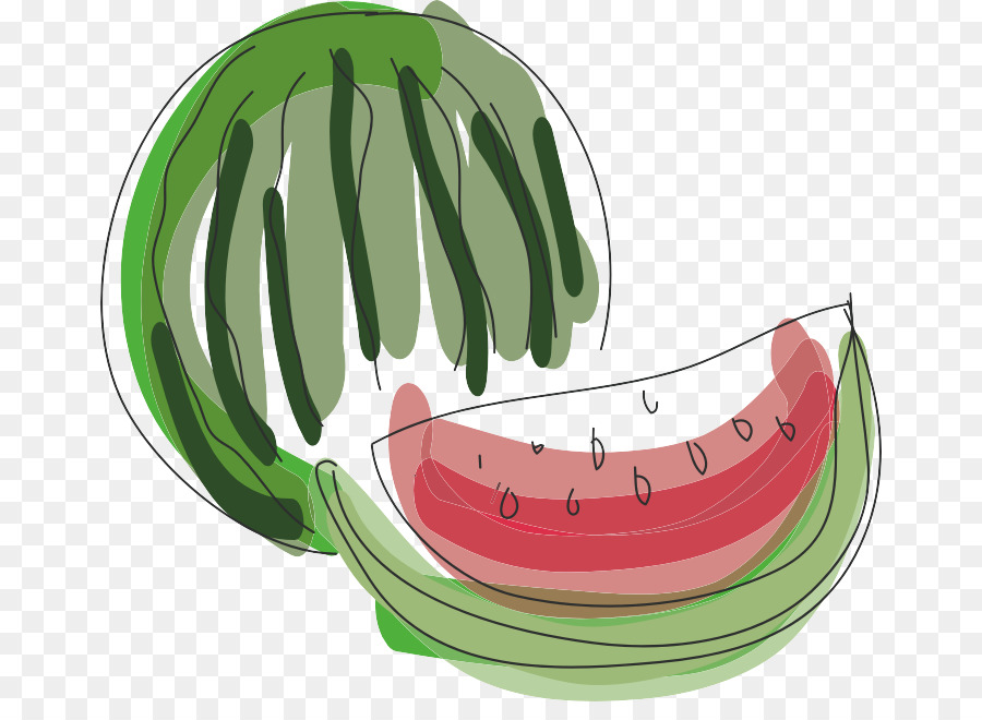 البطيخ，الحنظل PNG
