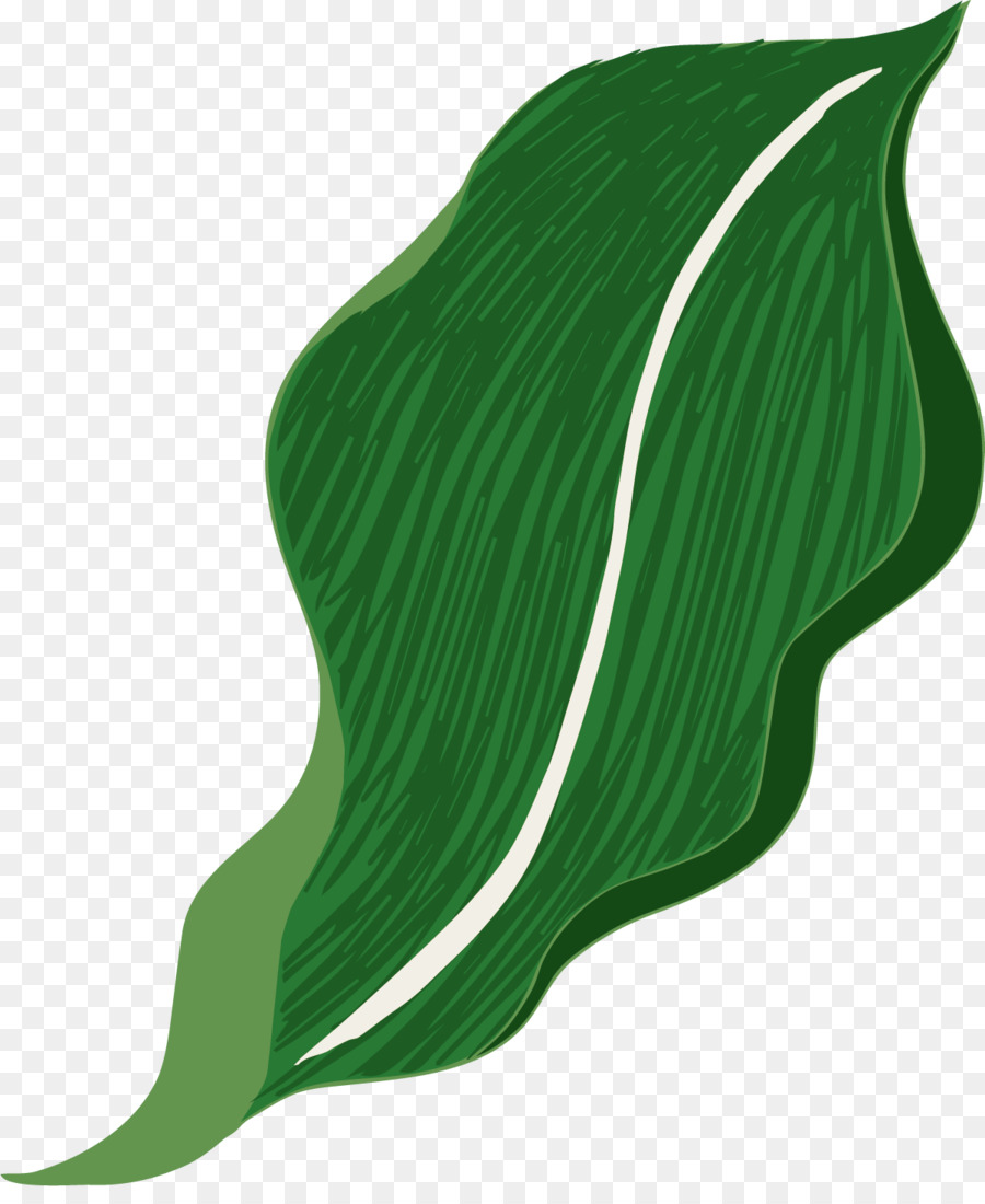 ورقة，الأخضر PNG