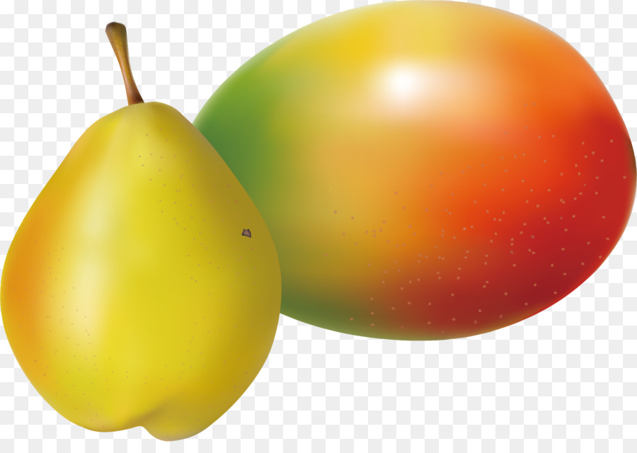 Pyrus Nivalis，تحميل PNG