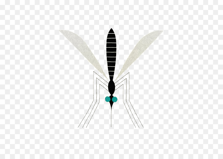 الحشرات，البعوض PNG
