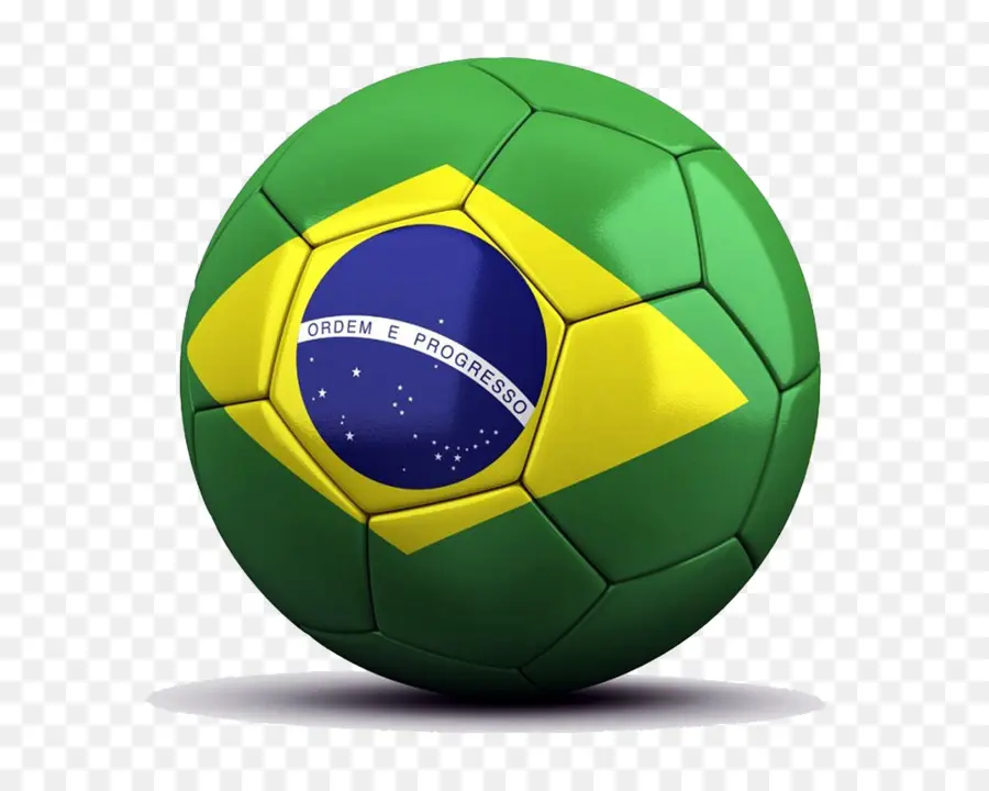 كأس العالم لكرة القدم 2014，البرازيل PNG