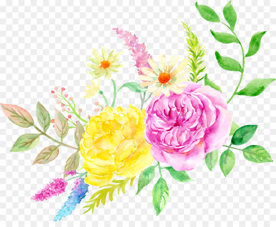 حديقة الورود, Centifolia الورود, الرسم بالألوان المائية صورة بابوا 