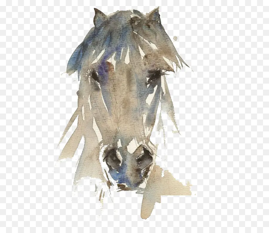 الحصان，الرسم بالألوان المائية PNG