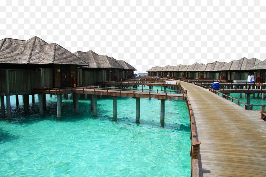 جزر المالديف，سانيا PNG