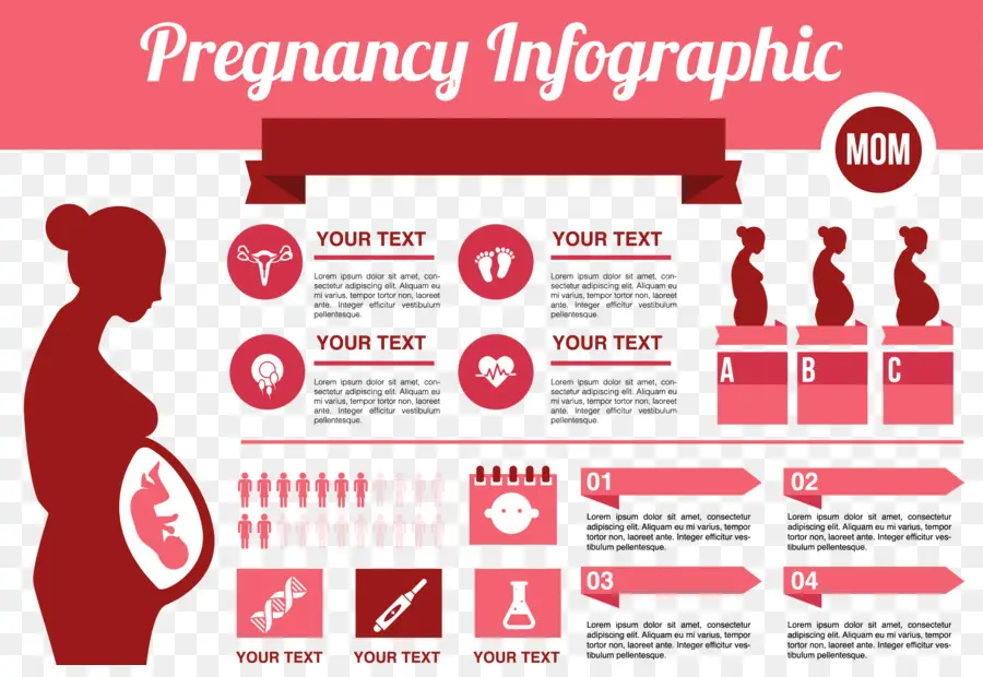 Infographic，الحمل PNG