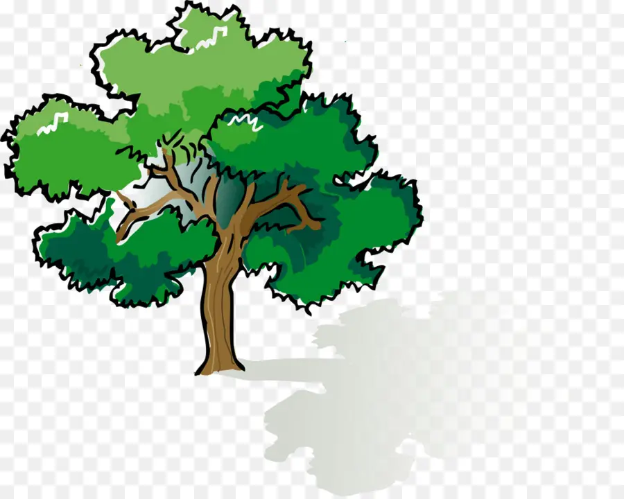 شجرة الظل，شجرة PNG