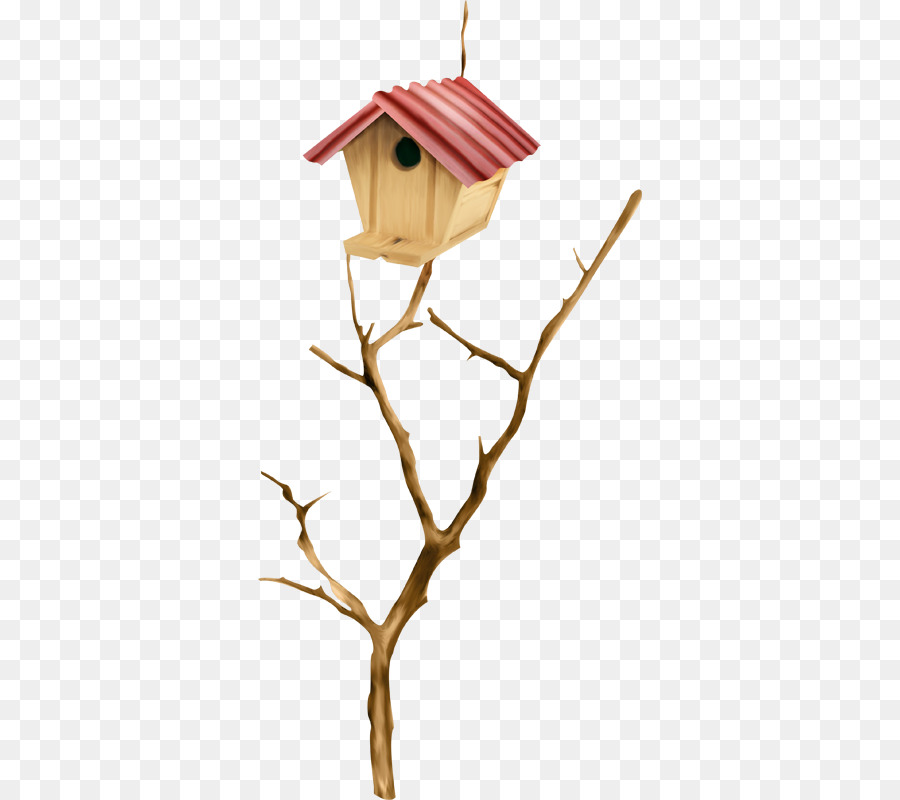 Birdhouse على فرع，شجرة PNG