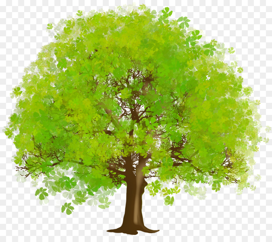 شجرة，مكافحة ناقلات الرسومات للتحجيم PNG