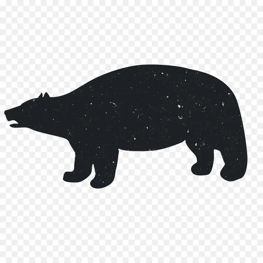 الدب，الحيوان PNG