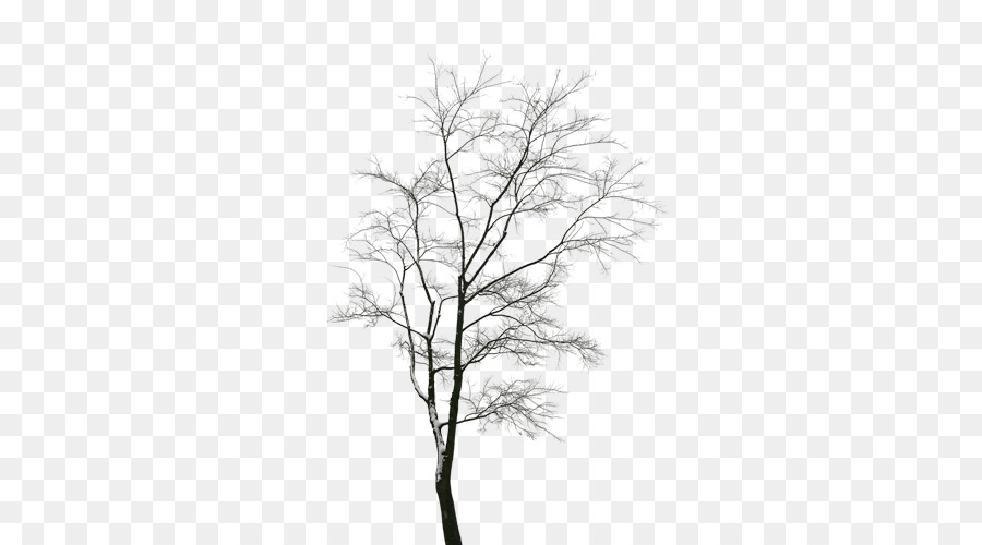 تحميل，شجرة PNG