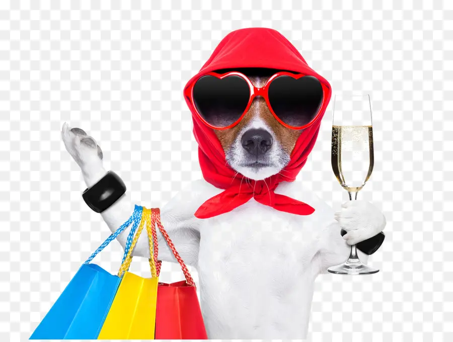 الكلب，التسوق PNG