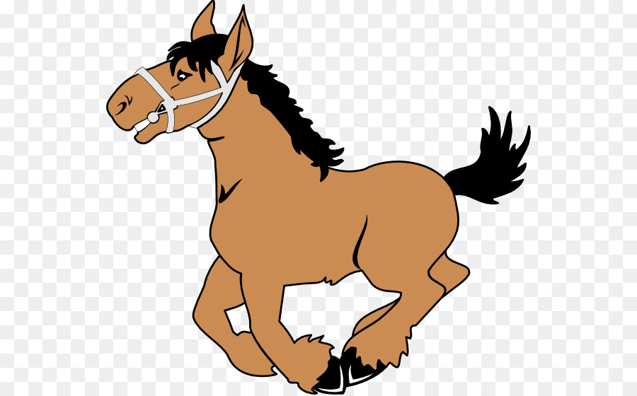 الحصان العربي，المهر PNG