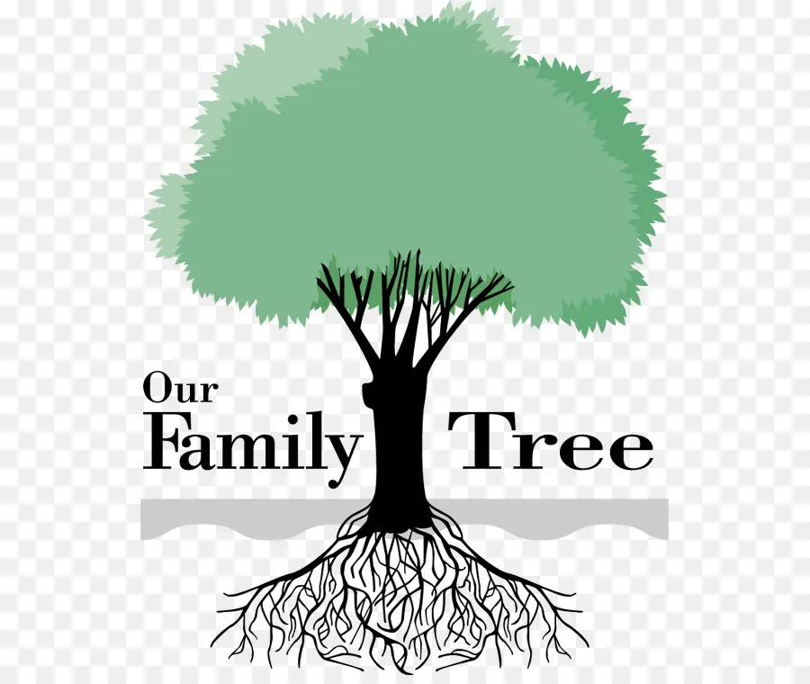 شجرة العائلة，الأنساب PNG