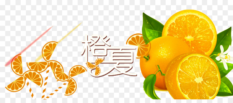 البرتقال，الإقليدية ناقلات PNG