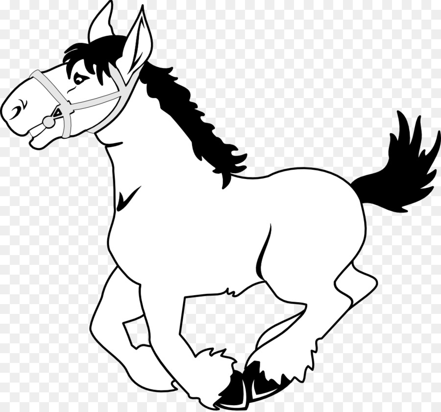 الحصان，المهر PNG
