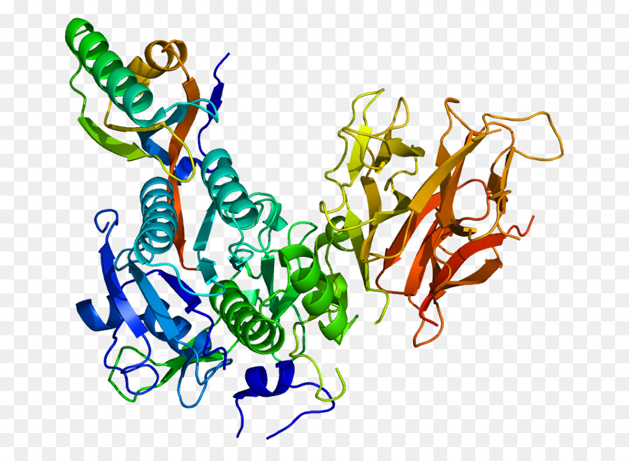 Pcsk9，Bococizumab PNG