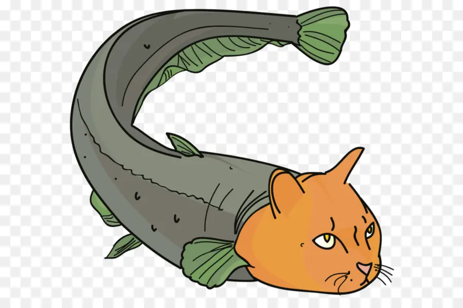 القط，سمك السلور PNG