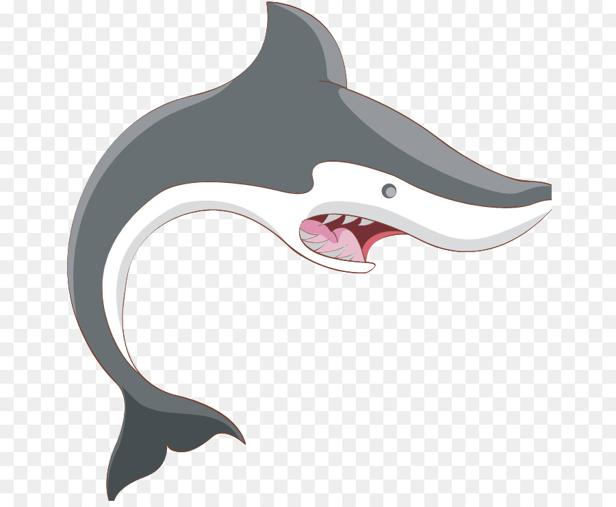 القرش，قرش النمر PNG