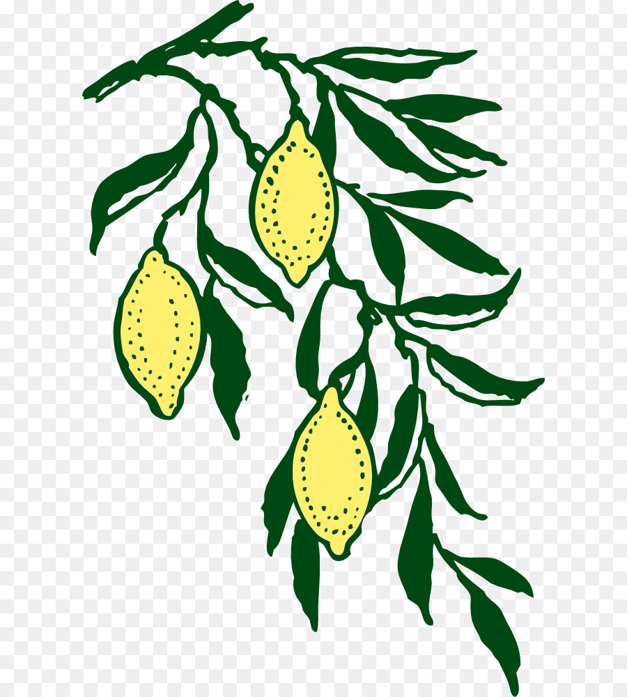 الليمون，فرع PNG
