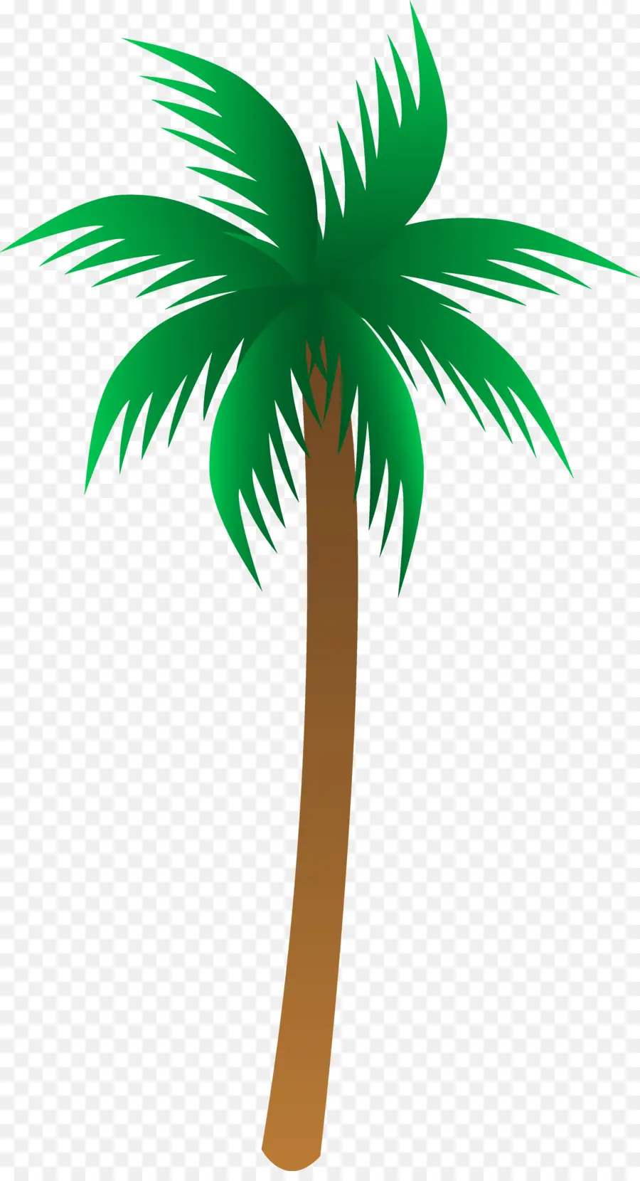 Arecaceae，شجرة PNG