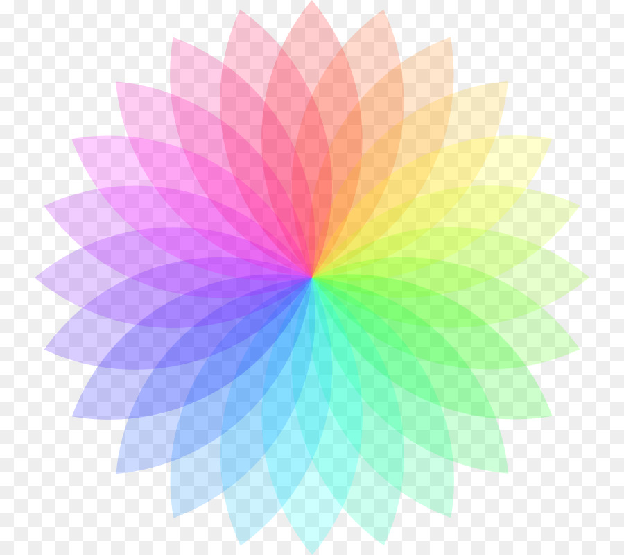 دائرة，عجلة الألوان PNG