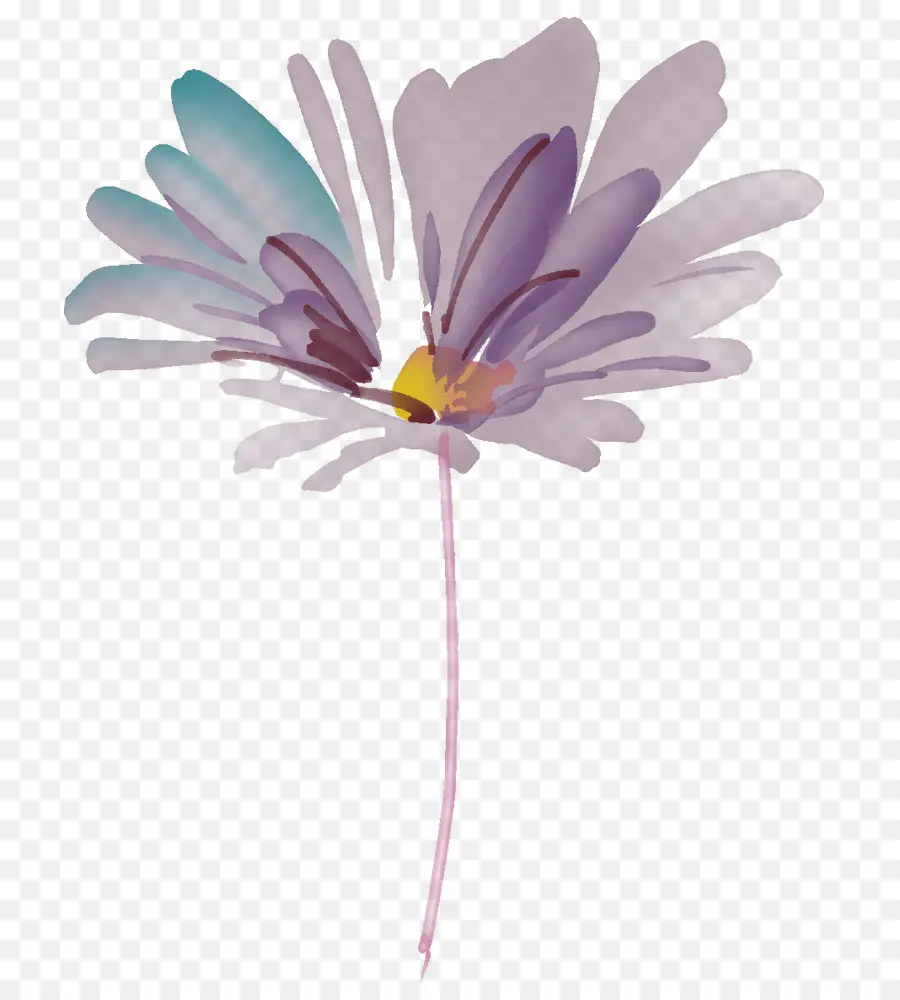 الأرجواني，زهرة PNG