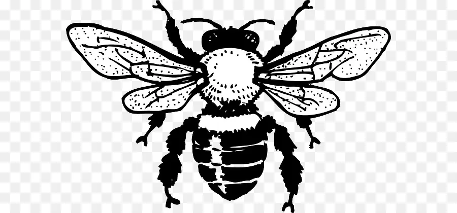 الأوروبي الظلام النحل，النحل PNG