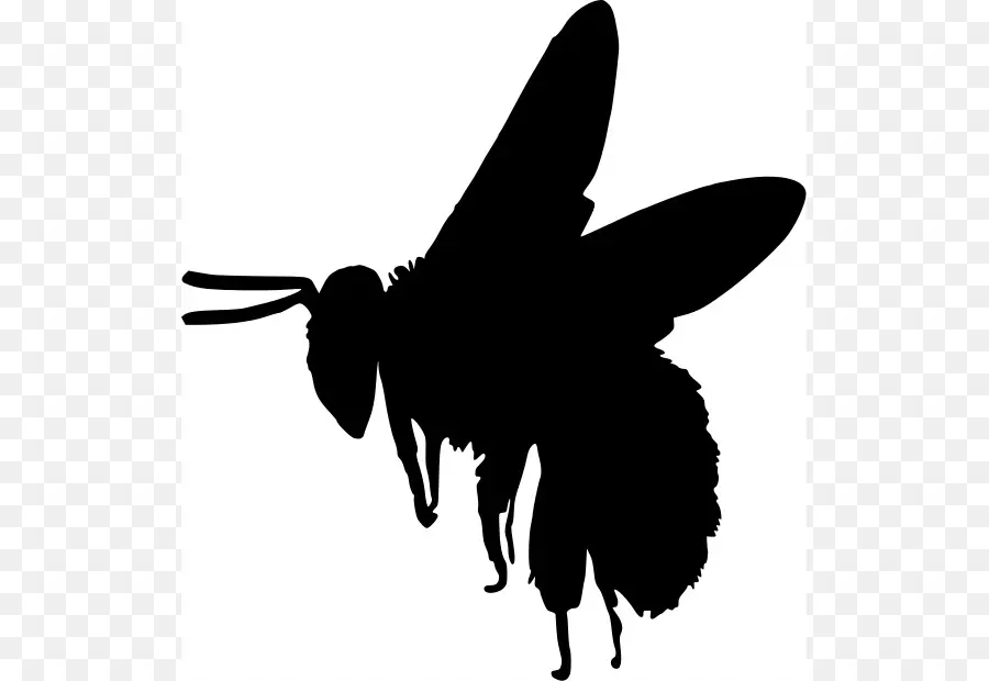 الأوروبي الظلام النحل，النحل PNG