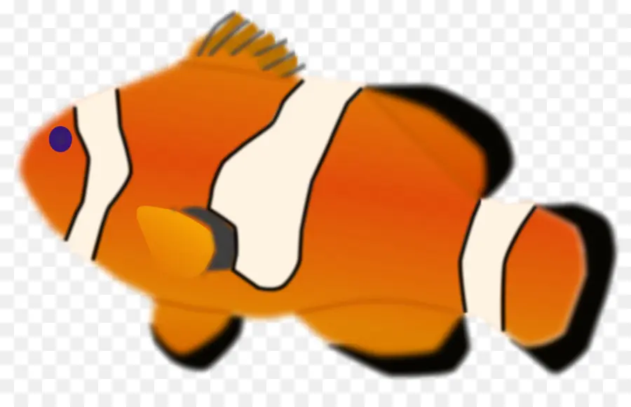 سمكة المهرج，سمكة PNG