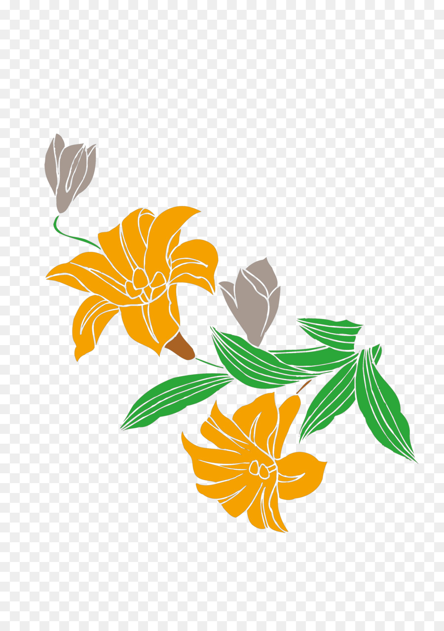 تحميل，Lilium PNG